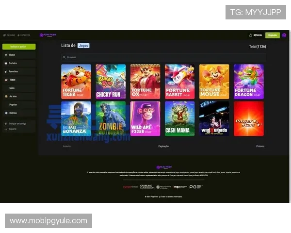 PG电子是什么游戏,详解其游戏类型、玩法规则以及如何安全高效地进行游戏体验